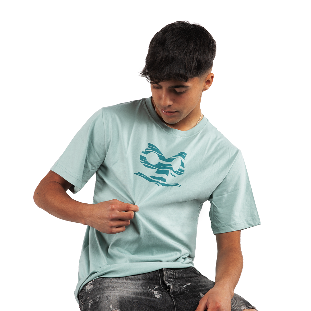 Polera verde agua chuncho