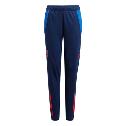 Pantalon de entrenamiento adulto 2025