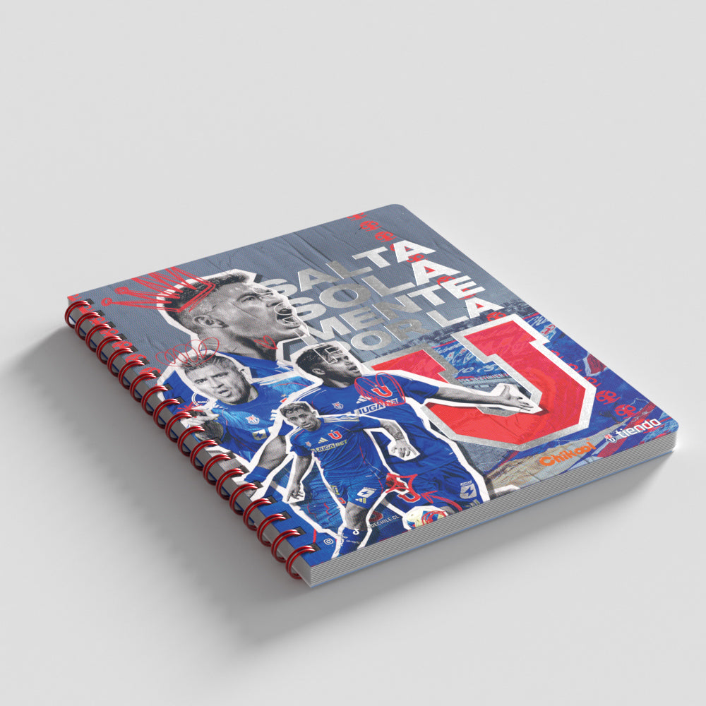 PACK 10 CUADERNOS UNIVERSITARIO  7MM